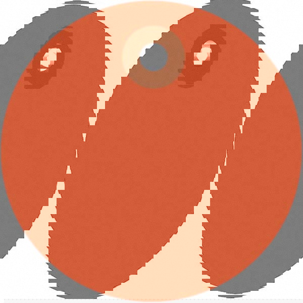 Blank Tag: Orange, Vinyl